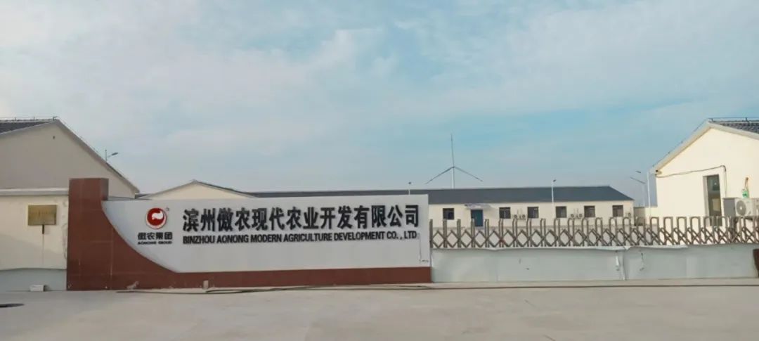 918搏天堂(中国区)官方网站
