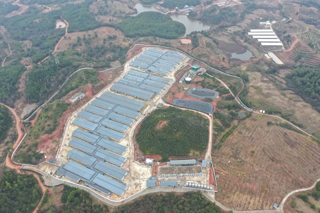 918搏天堂(中国区)官方网站