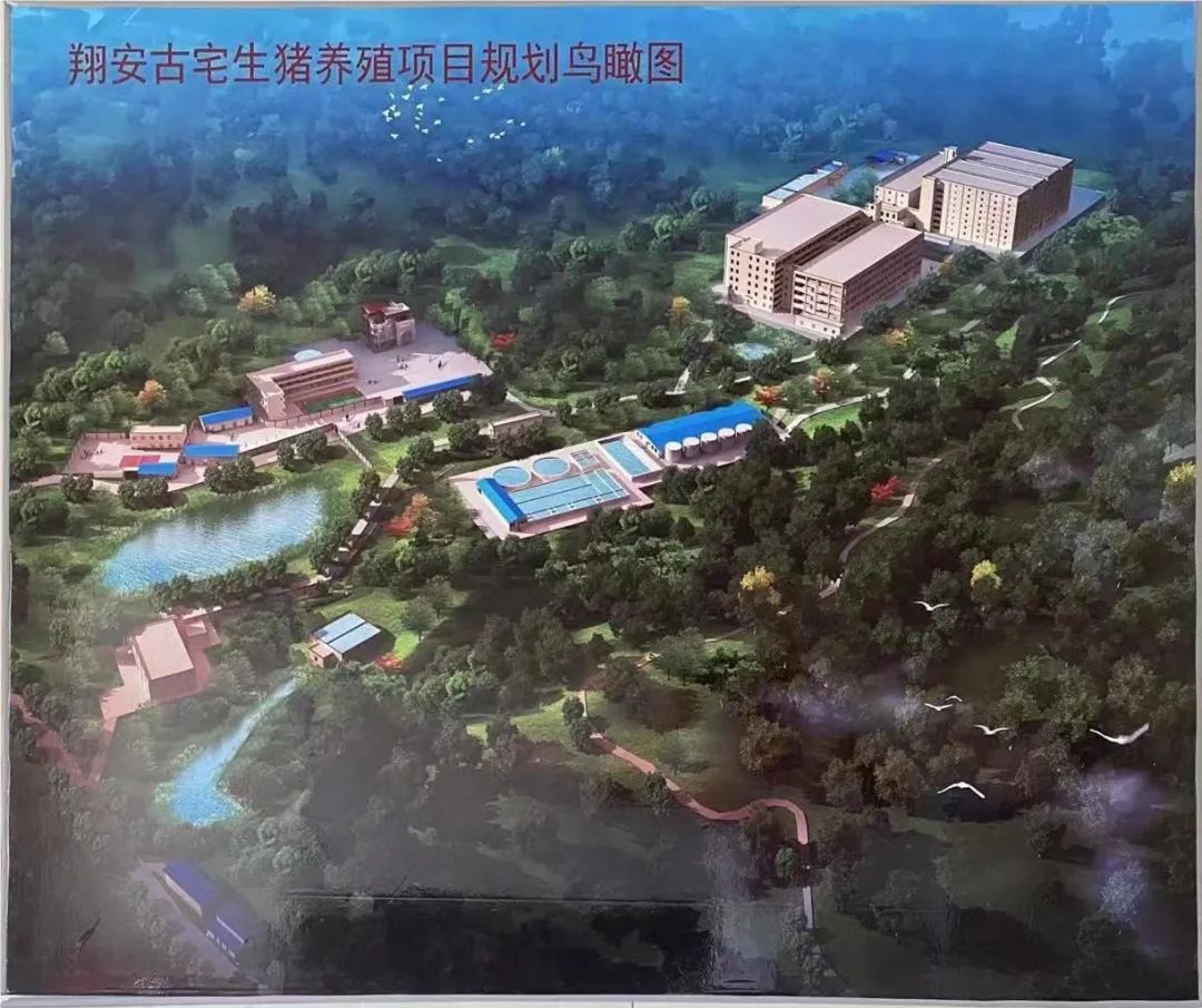 918搏天堂(中国区)官方网站